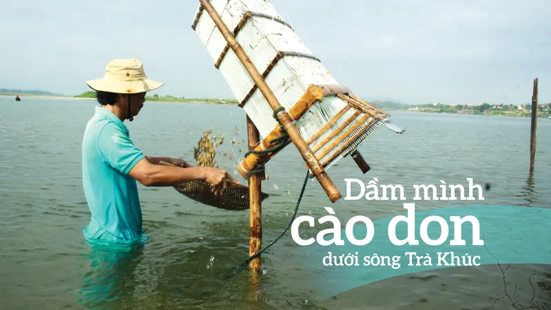 Dầm mình cào don dưới sông Trà Khúc