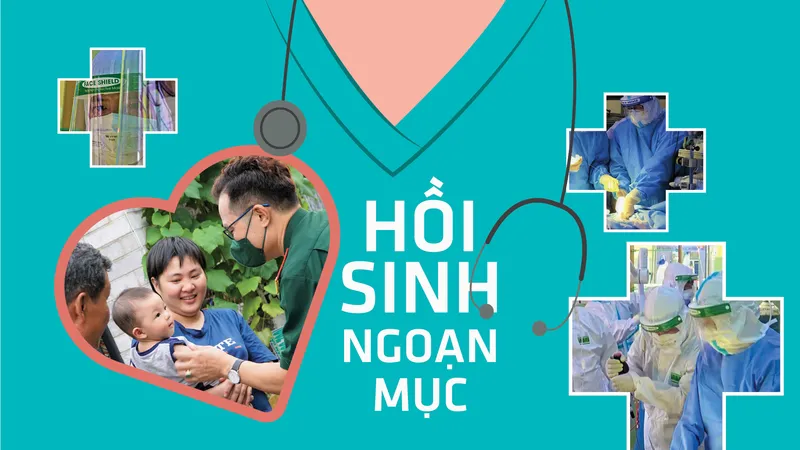 Hồi sinh ngoạn mục