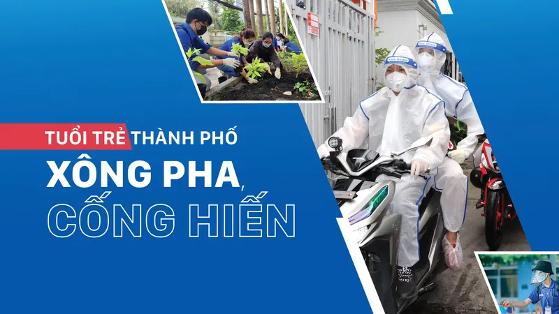Tuổi trẻ thành phố xông pha, cống hiến