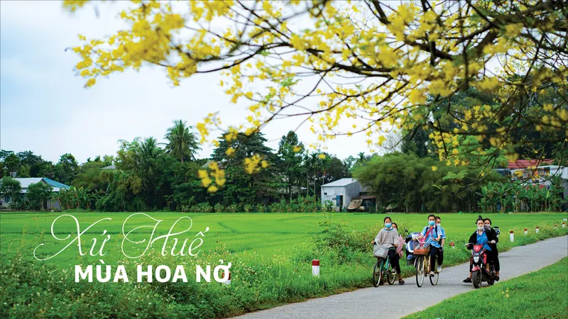 Xứ Huế mùa hoa nở