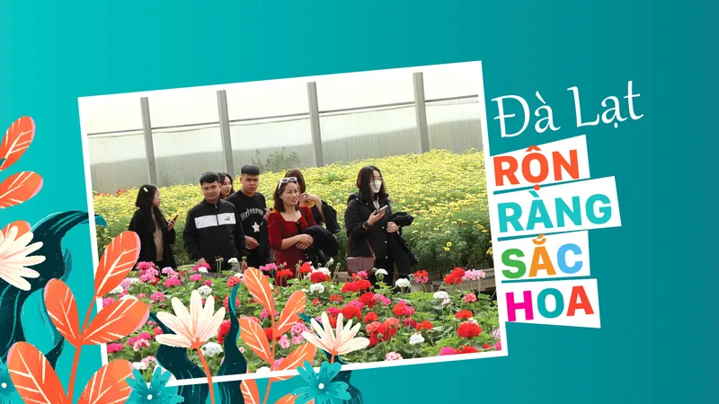 Đà Lạt rộn ràng sắc hoa