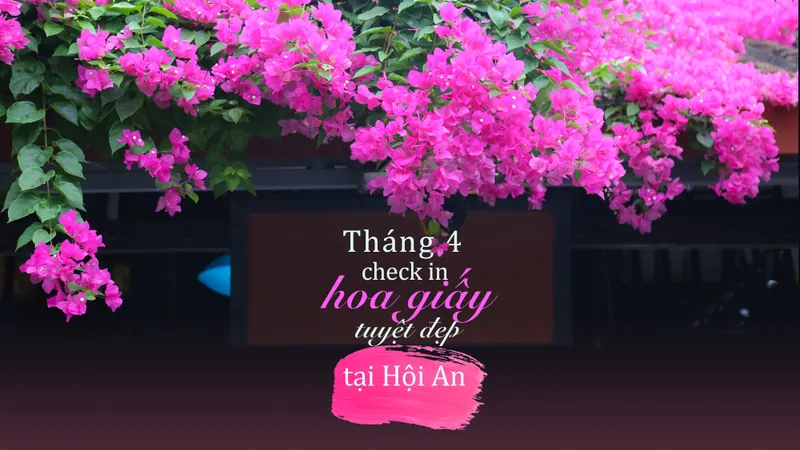 Những sắc hoa như tô vẽ thêm sự thơ mộng, trữ tình cho phố cổ Hội An.