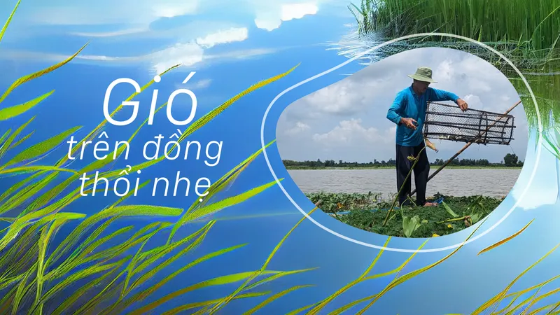 Gió trên đồng thổi nhẹ