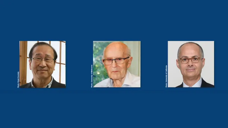 Giải Nobel Hóa học 2025 vinh danh công trình tạo ra “bộ khung kim loại - hữu cơ” đa dụng