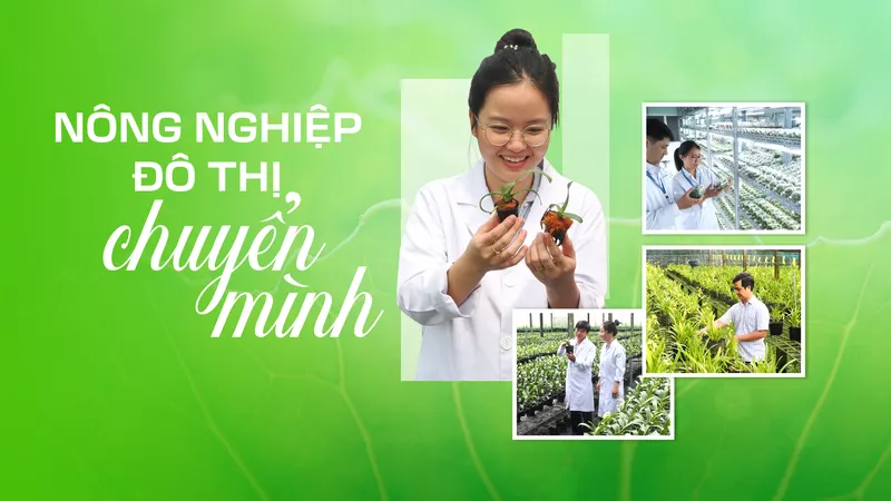 Nông nghiệp đô thị chuyển mình