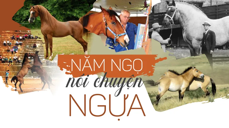 Năm Ngọ nói chuyện ngựa