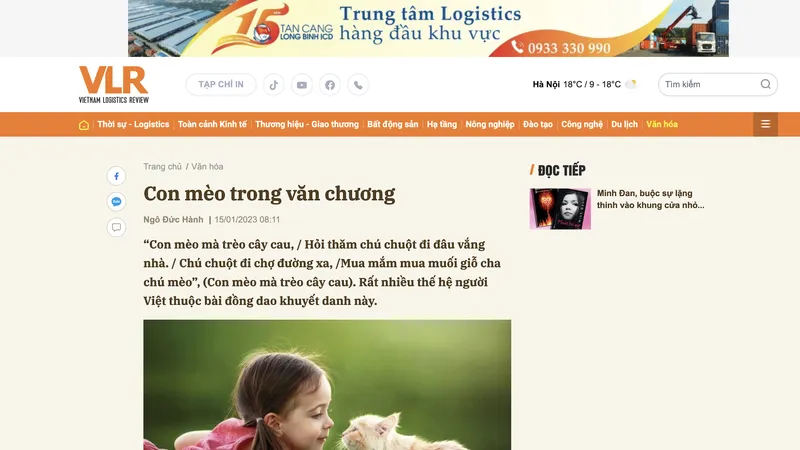 Mèo lại hoàn mèo và câu chuyện đạo văn năm Quý Mão
