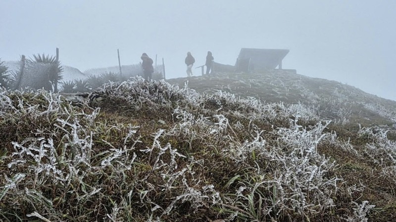 Strong cold surge forecast, frost possible