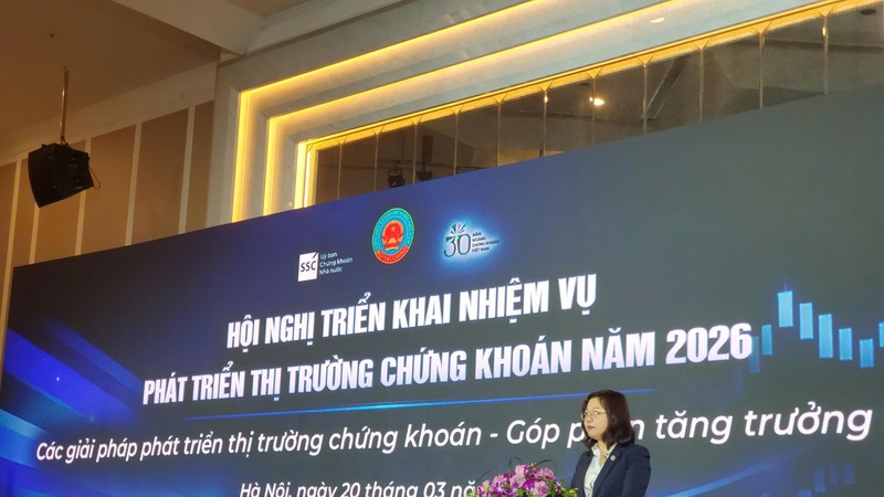 Two key solution groups introduced for stock market development in 2026