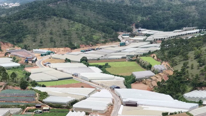 Newly opened suburban route promises to slash travel times around Da Lat