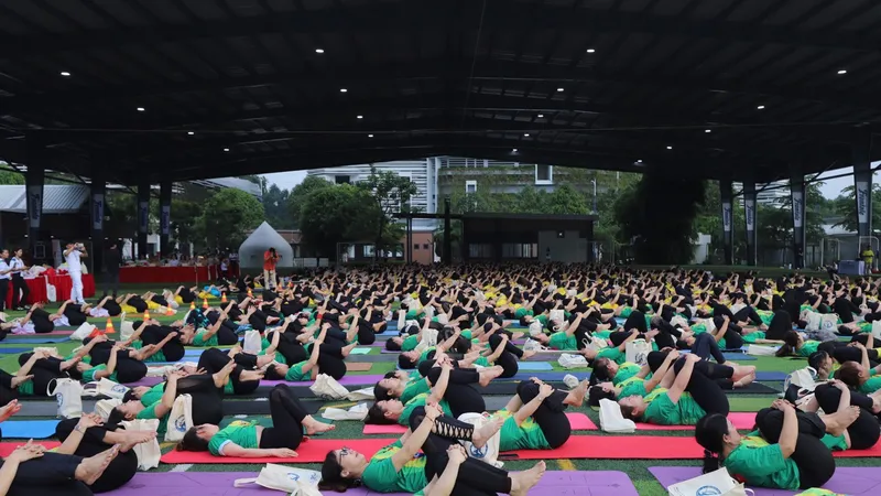 Các huấn luyện viên, hội viên Yoga đồng diễn các bài tập Yoga tại sự kiện.