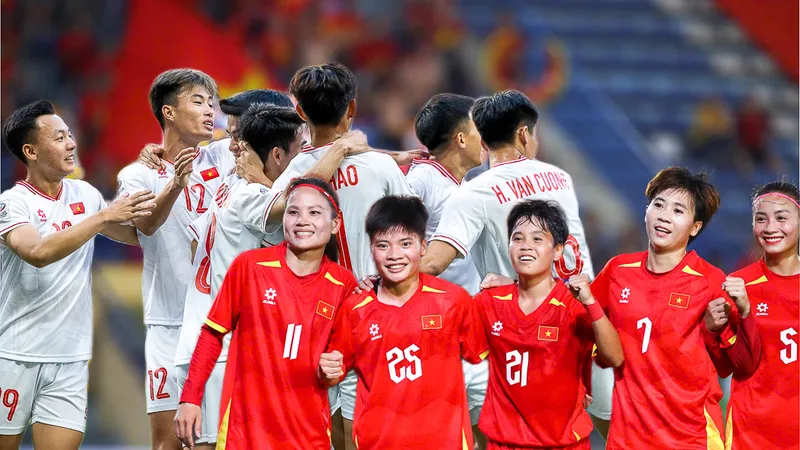 Đội tuyển U22 Việt Nam và đội tuyển nữ Việt Nam đã được VFF lên kế hoạch chuẩn bị nhằm phấn đấu đạt thành tích tốt tại SEA Games 33.