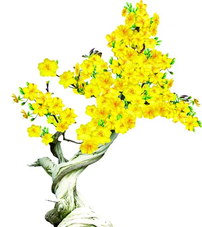 Trên đôi cánh mùa xuân