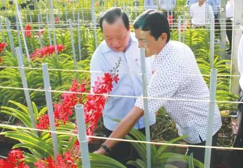 TPHCM - Hoàn thành xây dựng nông thôn mới ở 6 xã điểm