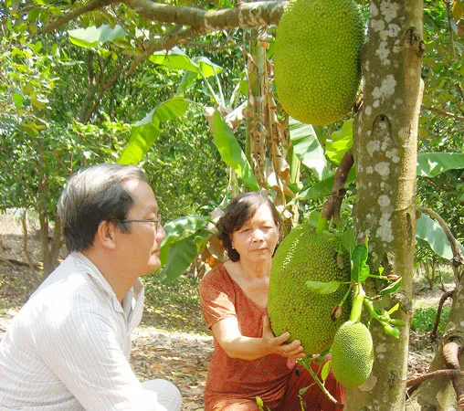 Đất và người Côn Đảo