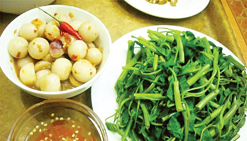 Lược khảo về quả cà