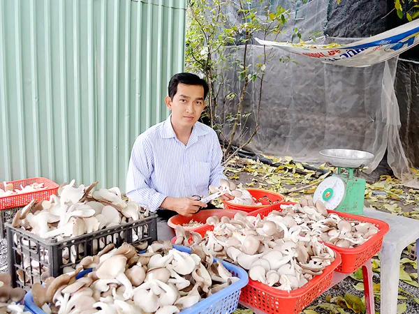 Thanh niên 8x khởi nghiệp từ nấm
