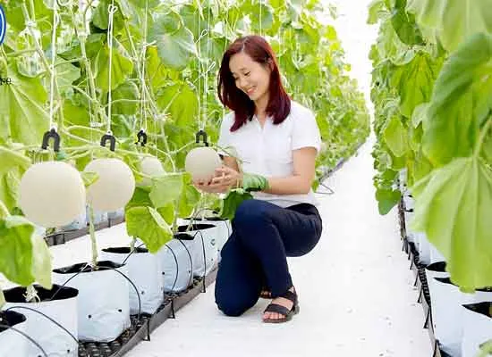 Khởi nghiệp nông nghiệp - Nhìn ra xu hướng để tìm cơ hội