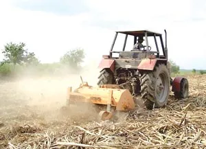 Mía đường: Sản xuất nhỏ lẻ - bế tắc!