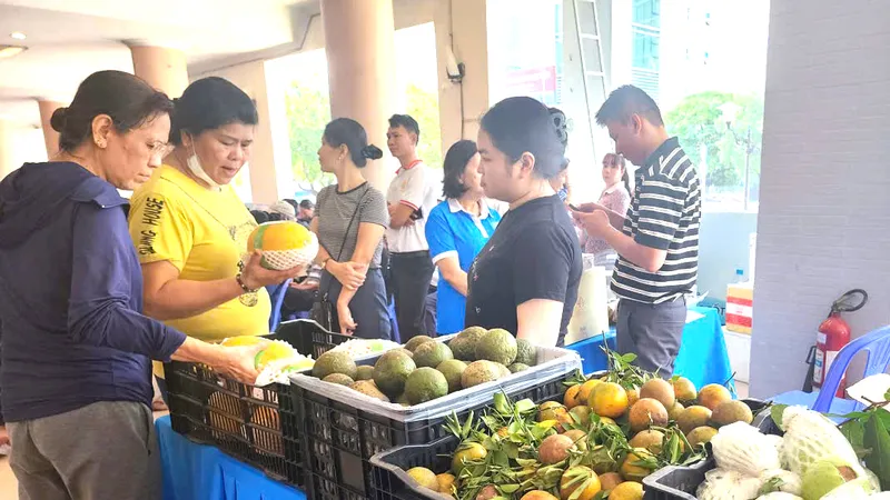 Phường Phú Nhuận: Phát động chương trình “Đồng hành cùng nông sản sạch” 