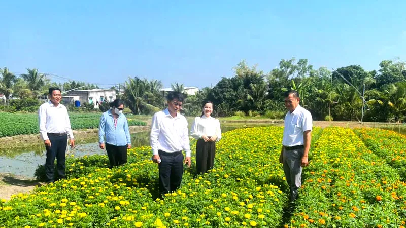Sáng 23-1, Hội Nông dân xã Hưng Long (TPHCM) tổ chức đoàn đến thăm, động viên các hộ nông dân trồng hoa nền trên địa bàn.