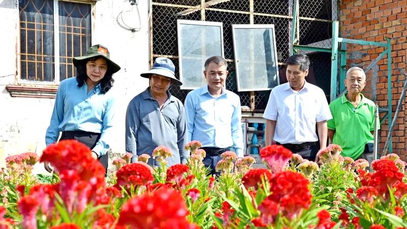 Nông dân xã Tân Nhựt tất bật vào vụ tết 