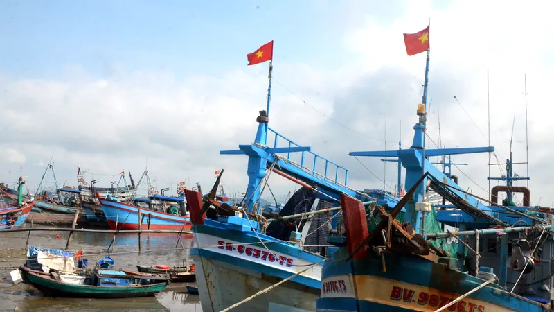 Phường Vũng Tàu: Tăng cường kiểm tra các tàu cá không đủ điều kiện hoạt động
