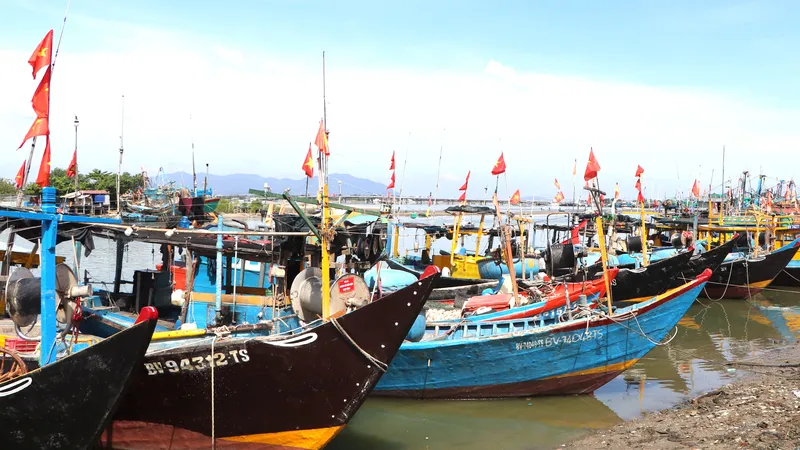 Xã Long Hải: Khẩn trương hoàn thiện hồ sơ làm việc với Đoàn kiểm tra khuyến nghị phòng chống IUU của EC