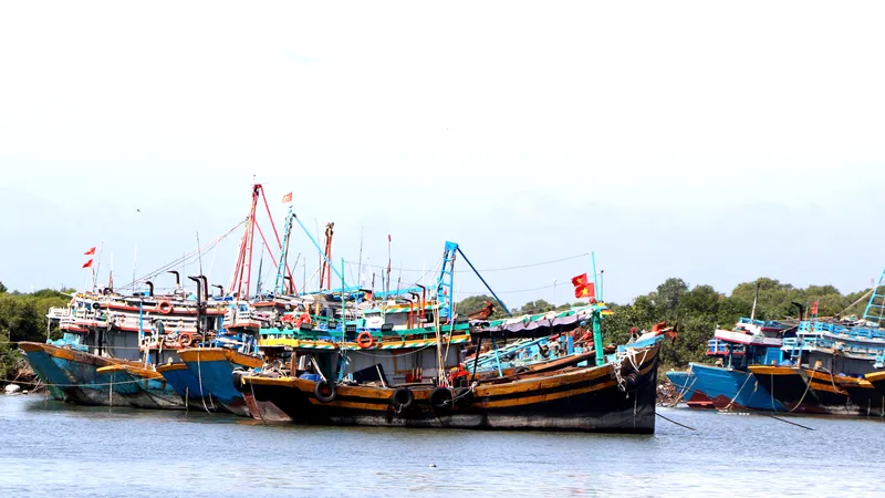 Xã Long Hải là địa phương có nhiều tàu cá không đủ điều kiện hoạt động