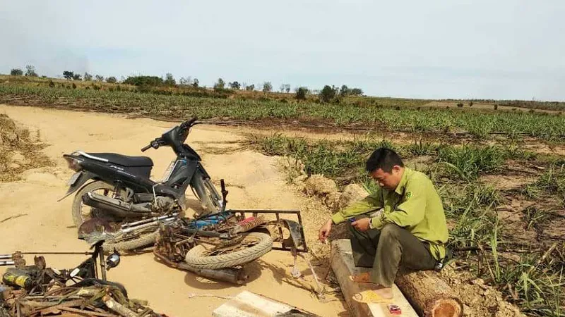 Vận chuyển gỗ lậu rồi đánh lực lượng kiểm lâm trọng thương