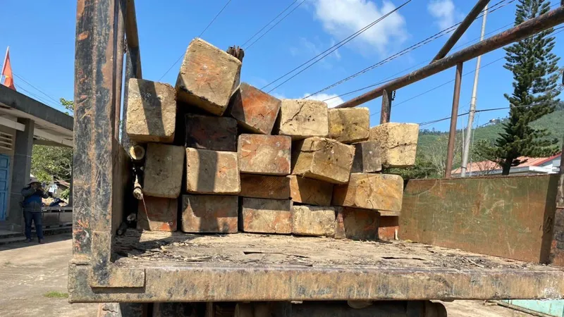 Bắt xe gỗ lậu ngụy trang chở củi
