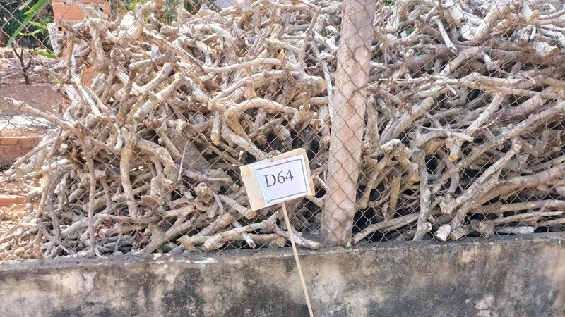 Đắk Lắk: Làm rõ việc “cò” đất cắm bảng quy hoạch giả để trục lợi