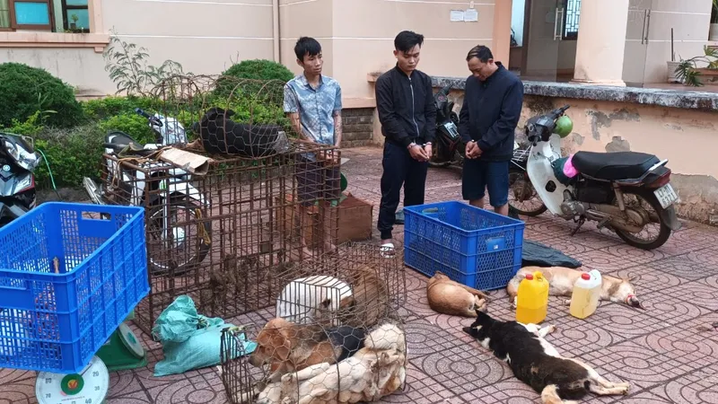 Bắt giữ nhóm trộm chó liên tỉnh, 2 tháng bắt 3 tấn chó