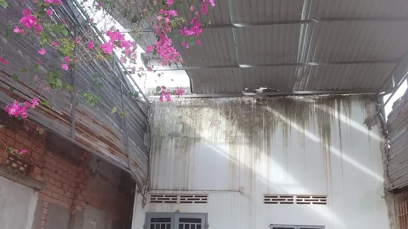 Bốn cháu nhỏ thương vong, nghi độ chế pháo