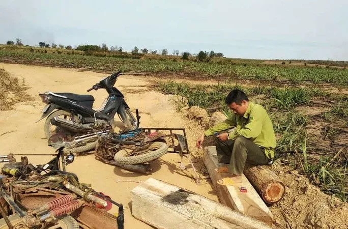 Trạm phó bảo vệ rừng bị hành hung khi đang tuần tra