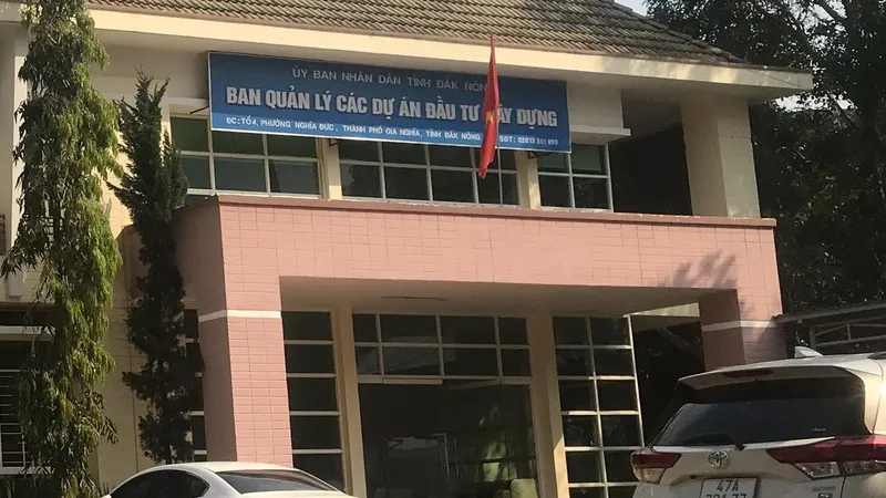 Cho thôi việc Phó Giám đốc ban quản lý dự án dùng bằng đại học không hợp pháp