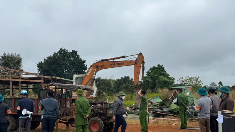 Đắk Nông: Cưỡng chế nhiều hộ dân lấn chiếm đất