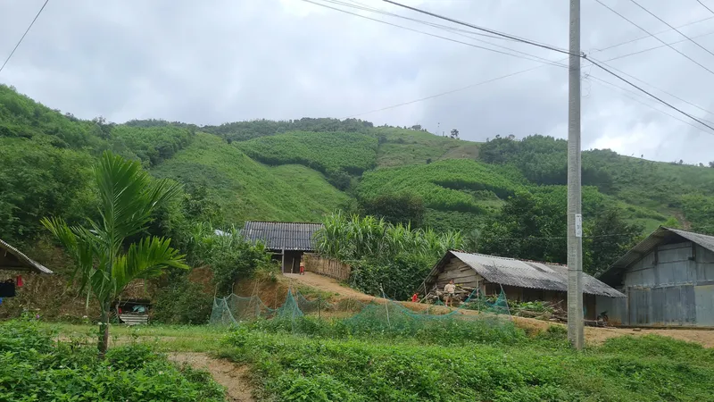 Đắk Lắk phân bổ 463 tỷ đồng phát triển kinh tế - xã hội vùng đồng bào dân tộc thiểu số và miền núi