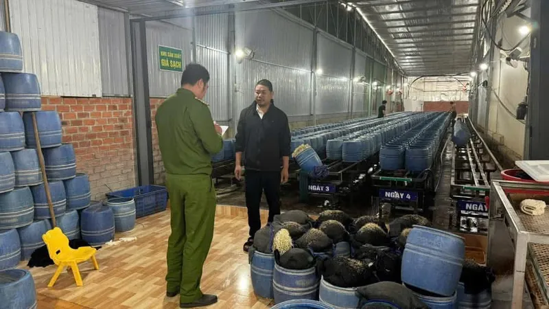 UBND tỉnh Đắk Lắk chỉ đạo “nóng” vụ giá đỗ ngâm, ủ chất cấm