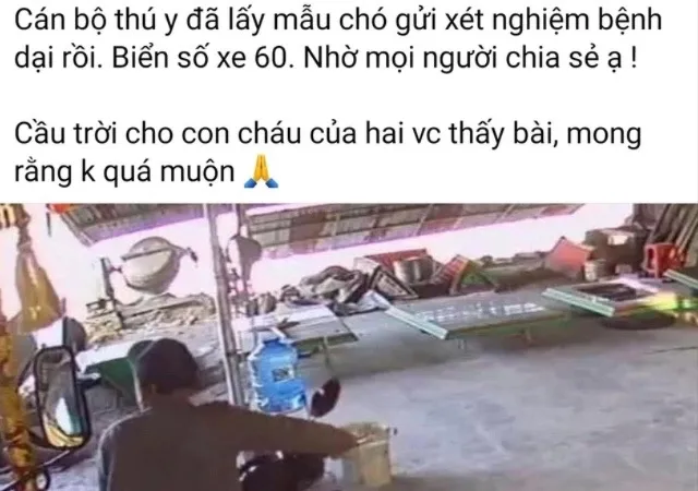 Tìm được người phụ nữ ở Đồng Nai lên Đắk Lắk bị chó dại cắn