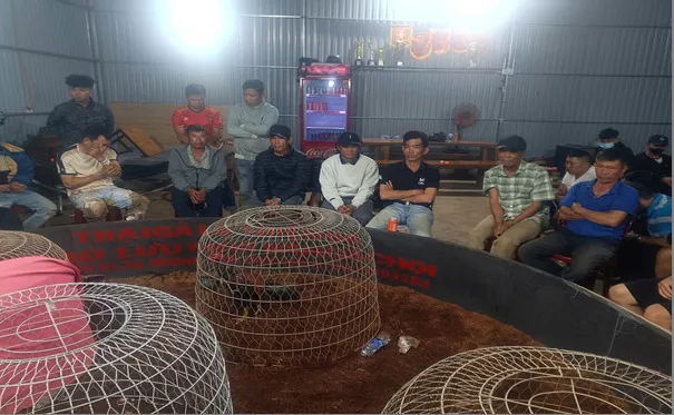 Bắt quả tang 50 đối tượng đá gà ăn tiền
