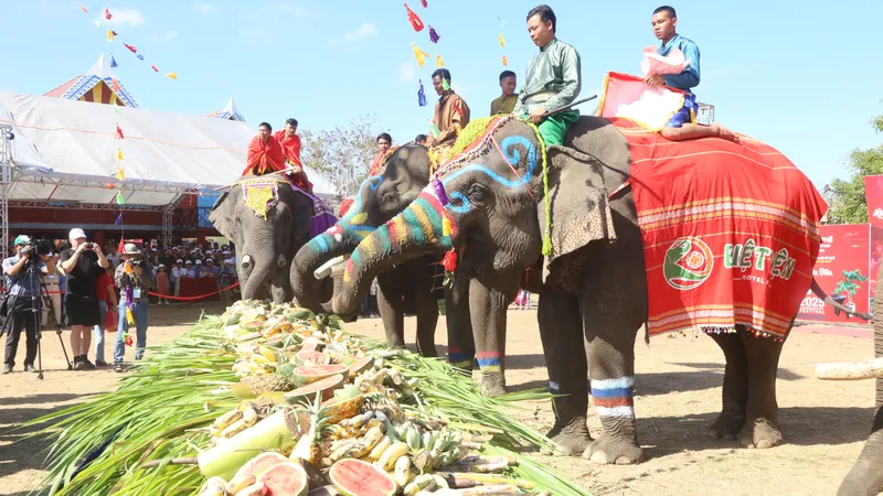 Đặc sắc hội voi Buôn Đôn