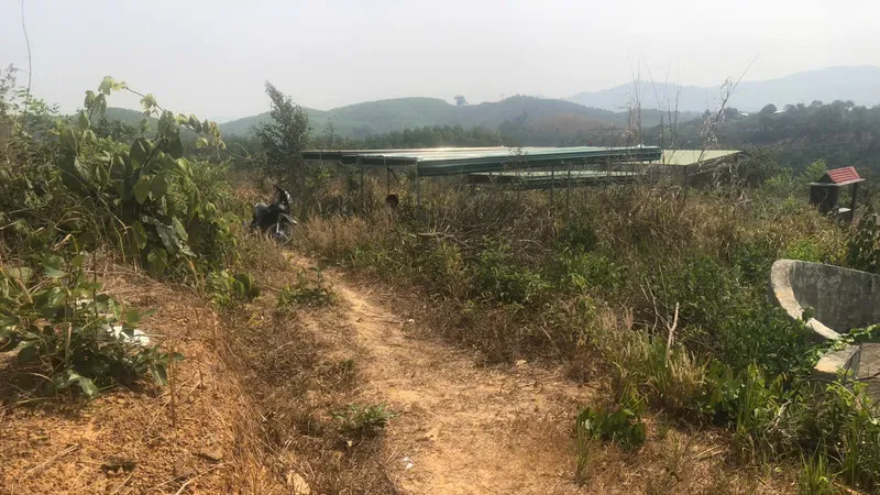 Phát hiện nam thanh niên tử vong trong tư thế treo cổ tại nghĩa trang