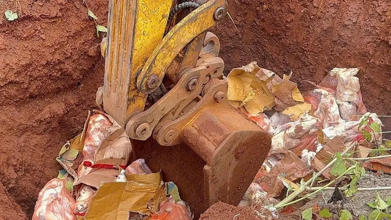 Tiêu hủy hơn nửa tấn thịt đông lạnh chưa qua kiểm dịch