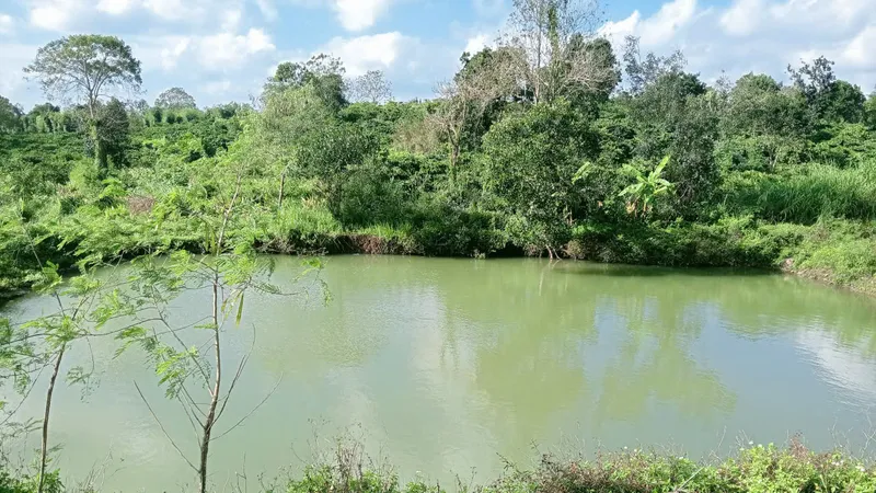 Đắk Lắk: Rủ nhau ra hồ tắm, 3 em nhỏ bị đuối nước