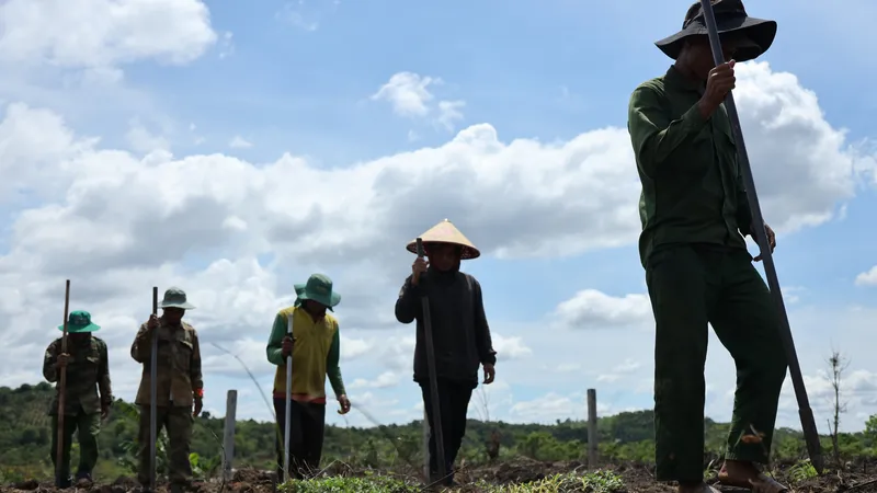 Mưu sinh dưới chân núi lửa triệu năm Chư B’lúk