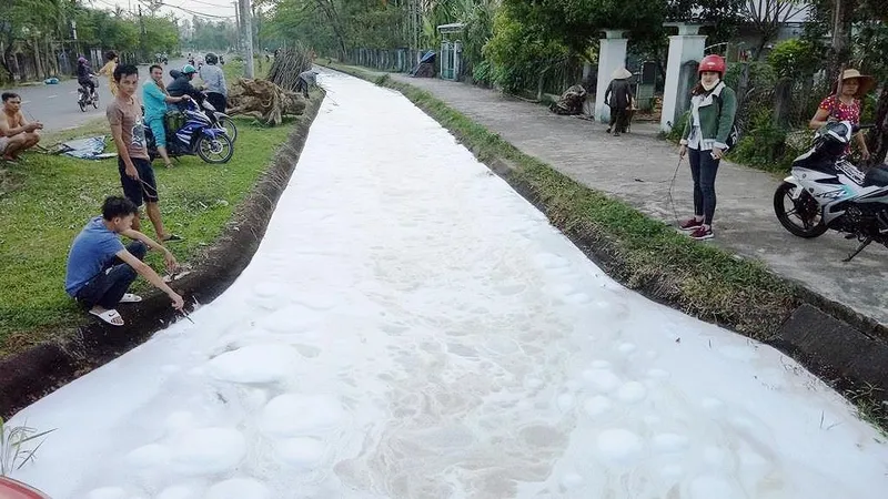 Kinh hoàng cảnh cá chết trắng kênh thủy lợi, nghi nhiễm độc thuốc diệt cỏ