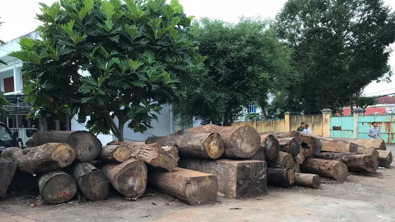 Khởi tố nguyên trưởng công an xã tiếp tay phá rừng