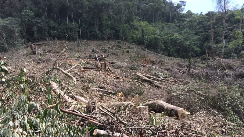 Kon Tum: Phá rừng ở nơi… cấm phá