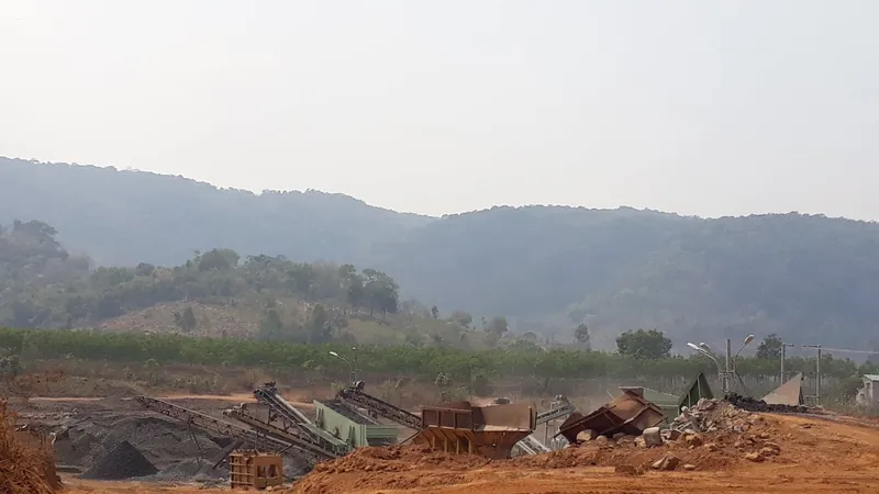 Tạm dừng hoạt động mỏ đá làm ảnh hưởng vườn cà phê